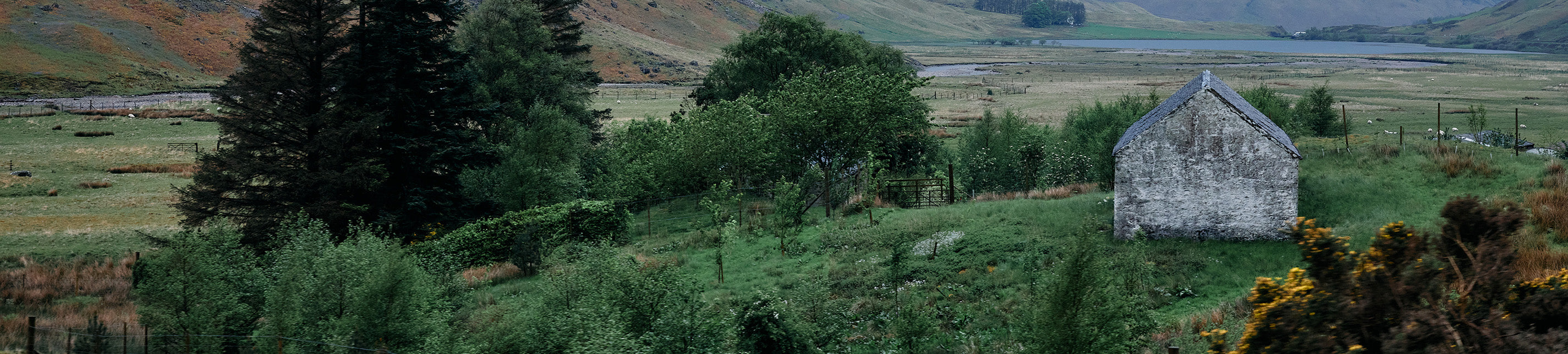 Black Outerwear Women